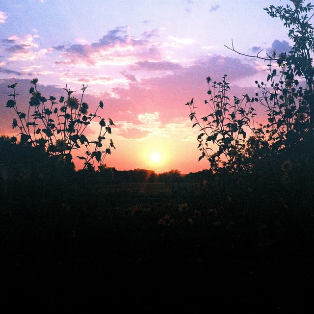 five cover