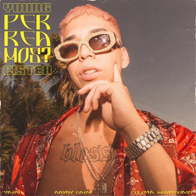 PERREAMOS? album cover