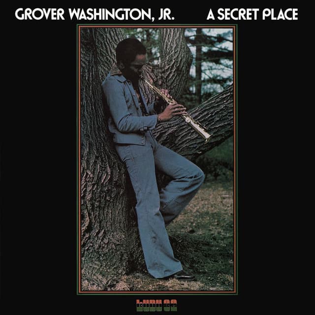 A Secret Place cover