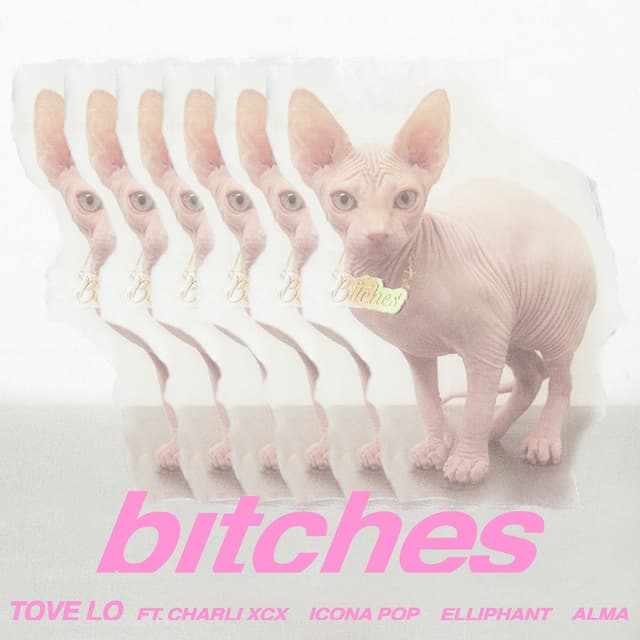bitches cover