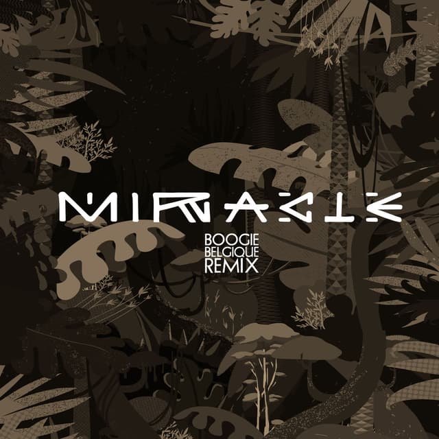 Miracle (Boogie Belgique Remix) cover