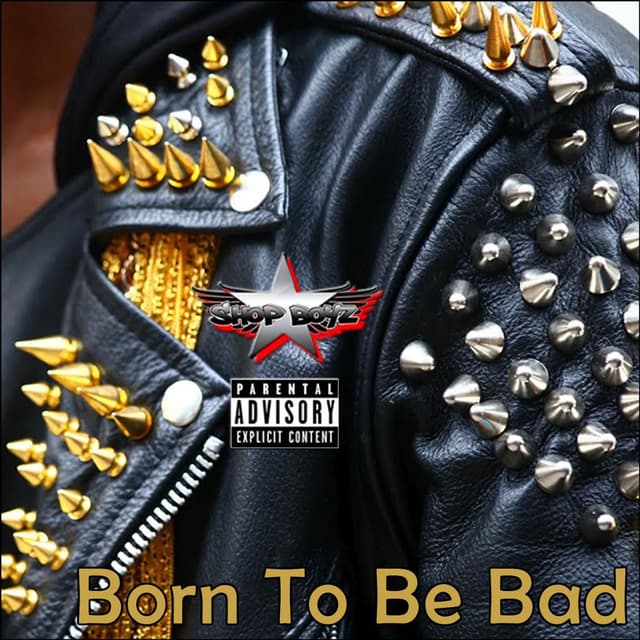 Born to Be Bad cover