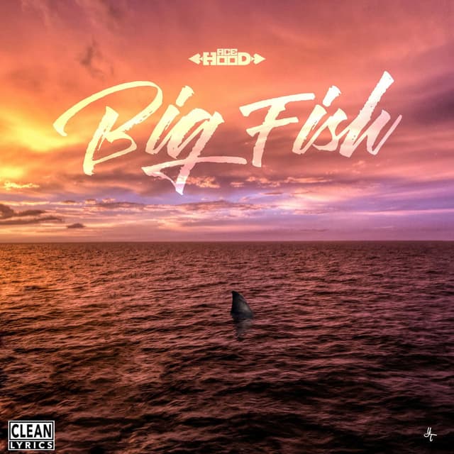 Big Fish cover
