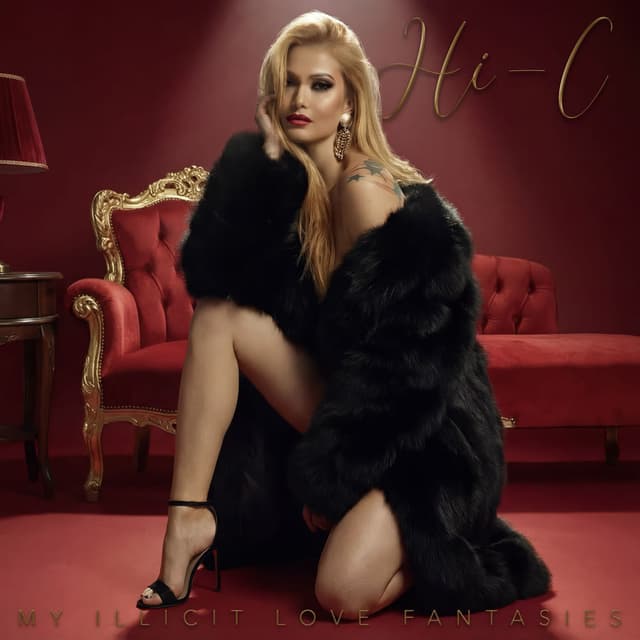 My Illicit Love Fantasies cover