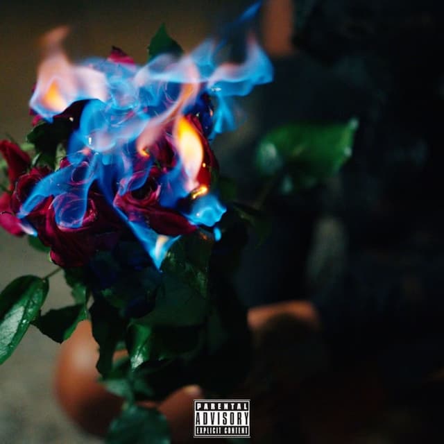 Dead Flowers cover