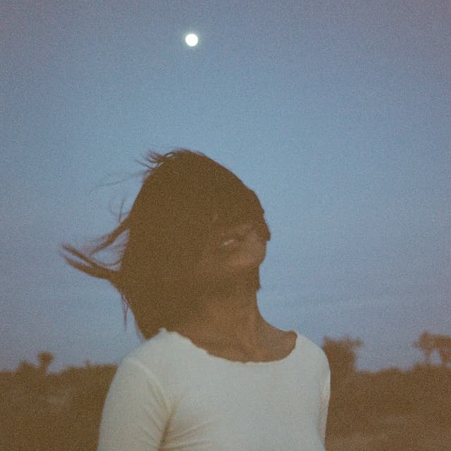 Nightshade (Hushed) album cover