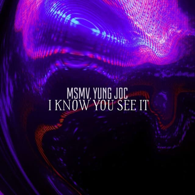 I Know You See It cover