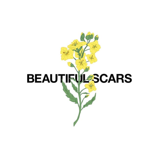 Beautiful Scars (Acoustic) cover