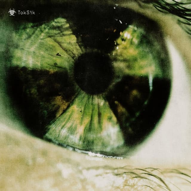 TOKSIK cover