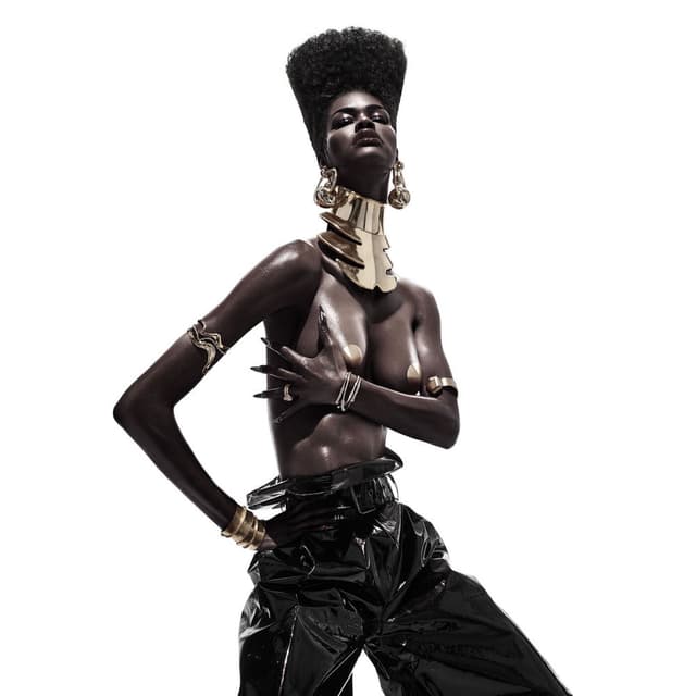 The Album cover