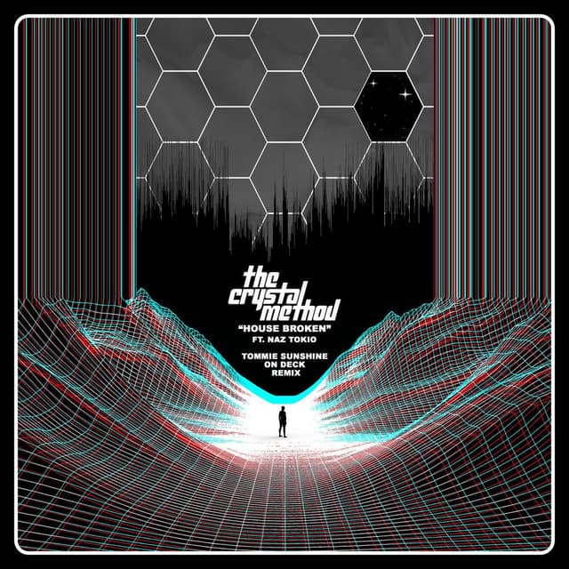 House Broken (feat. Naz Tokio) (Tommie Sunshine & On Deck Remix) cover