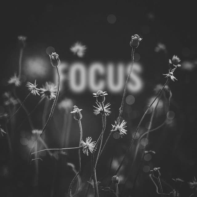 Focus (feat. Lena Leon) cover