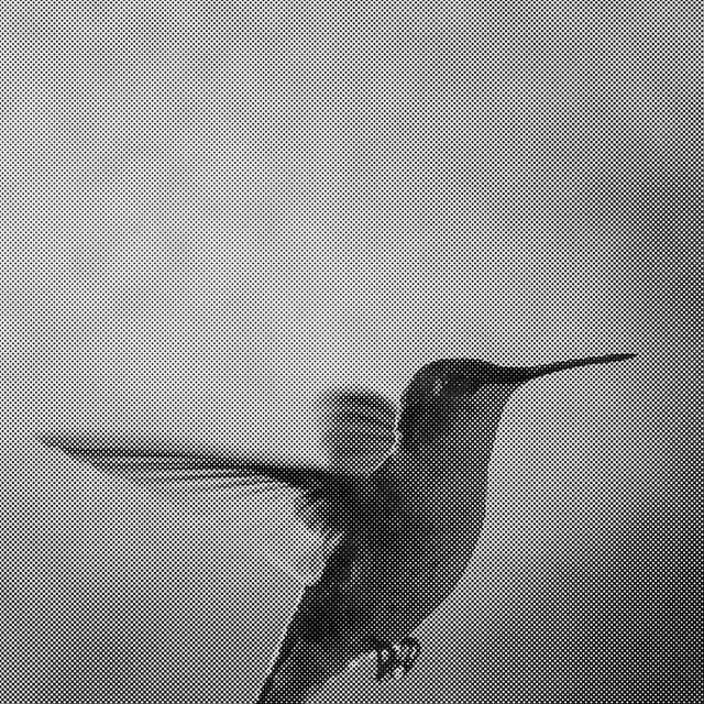 Codinome Beija-Flor / O Tempo Não Para cover