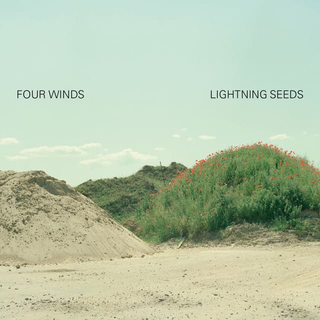 Four Winds (Digital Version) cover