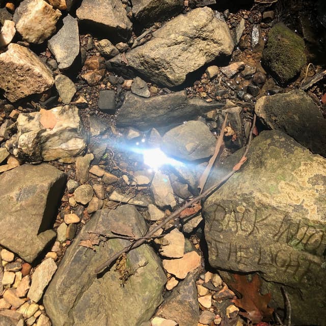 Back Into The Light album cover