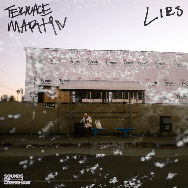 Lies cover