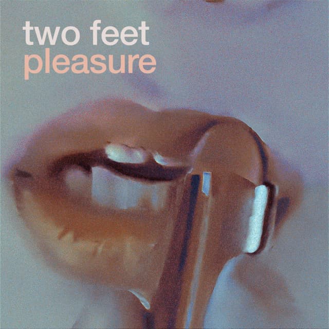 Pleasure cover