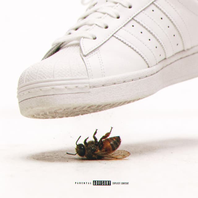 BEEHAVE cover