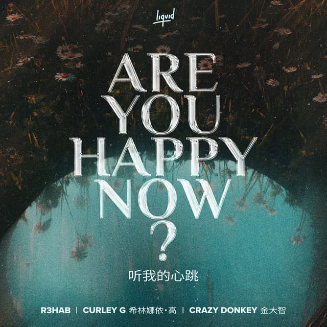 Are You Happy Now cover