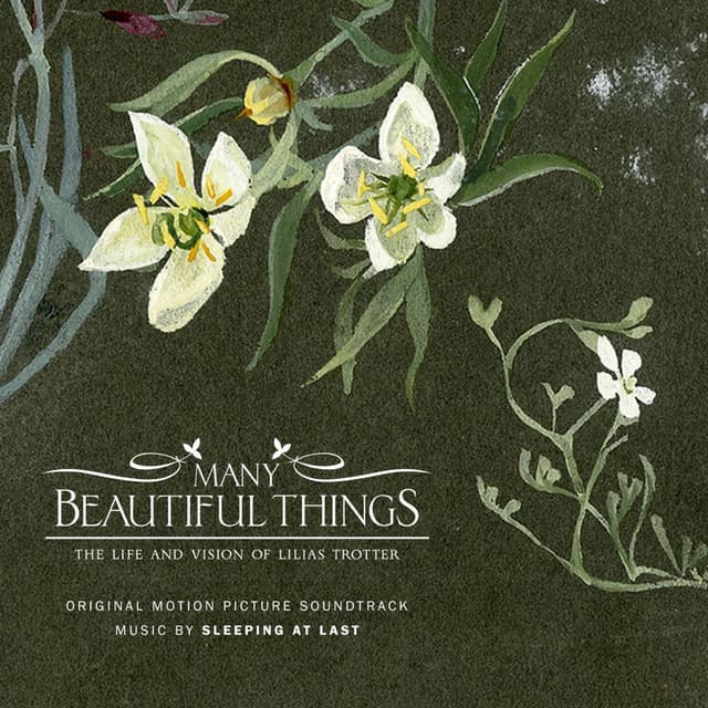 Many Beautiful Things (Original Motion Picture Soundtrack) cover