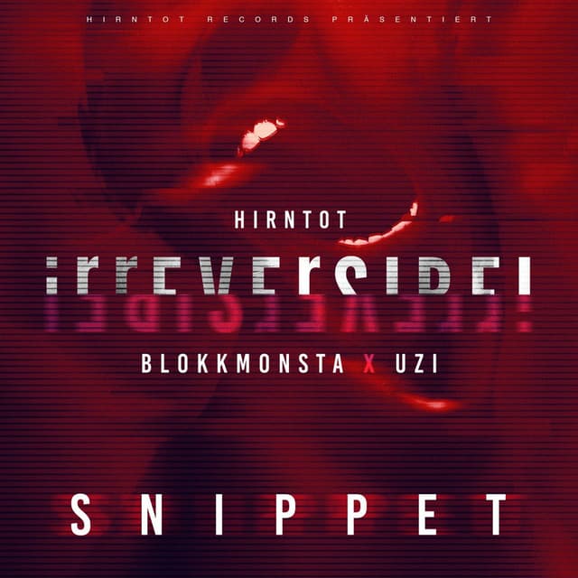 Irreversibel (Snippet) cover