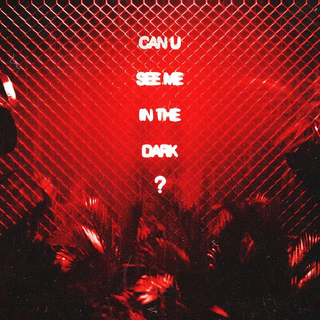 can u see me in the dark? cover