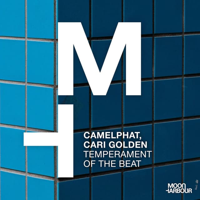 Temperament of the Beat cover
