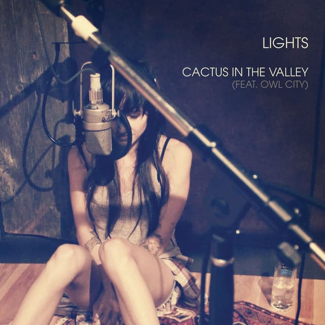 Cactus In The Valley (Acoustic) cover