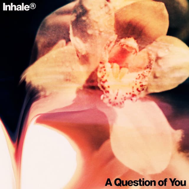A Question of You cover