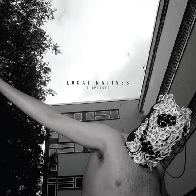 Airplanes cover