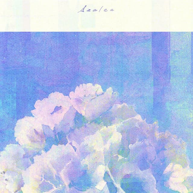 Azalea cover