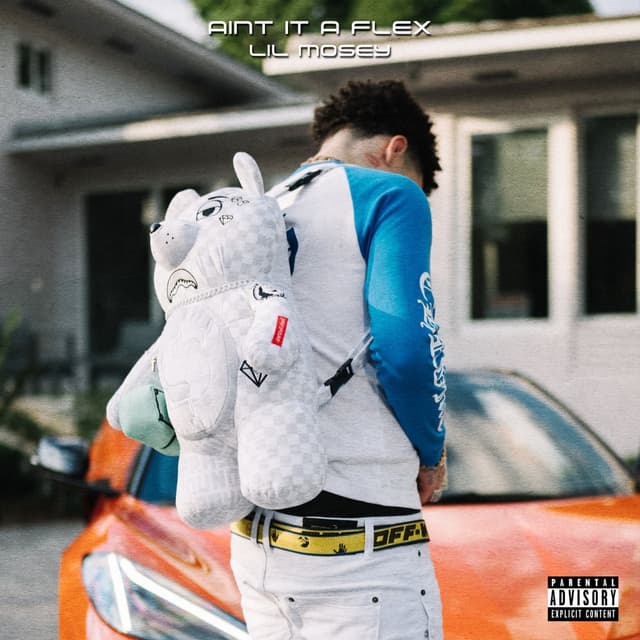 Ain't It A Flex cover