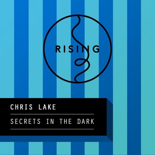 Secrets In The Dark cover
