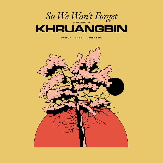 So We Won't Forget album cover