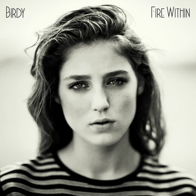 Fire Within cover