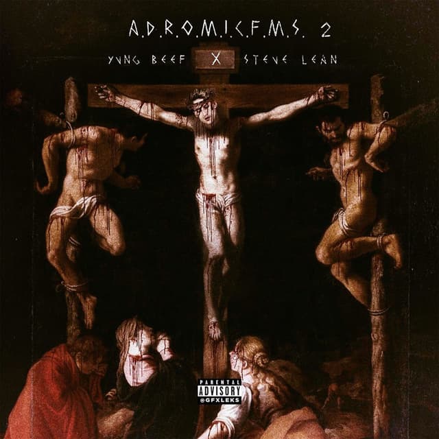 A.D.R.O.M.I.C.F.M.S. 2 cover
