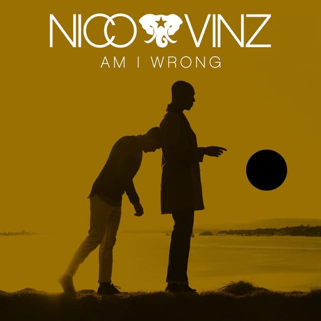 Am I Wrong album cover