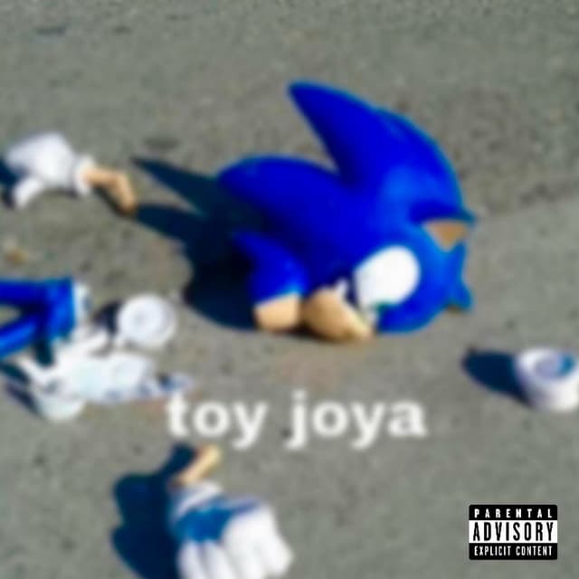 Toy joya cover