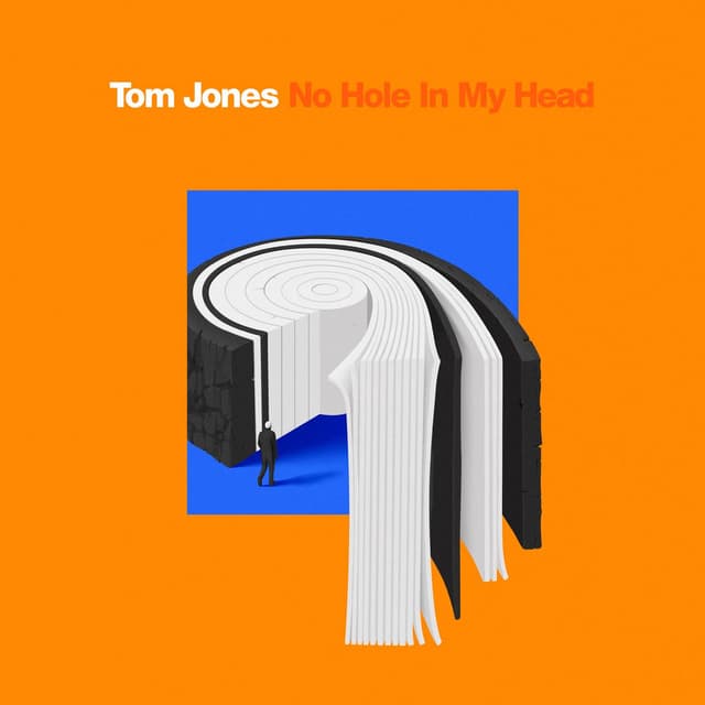 No Hole In My Head (Single Edit) cover