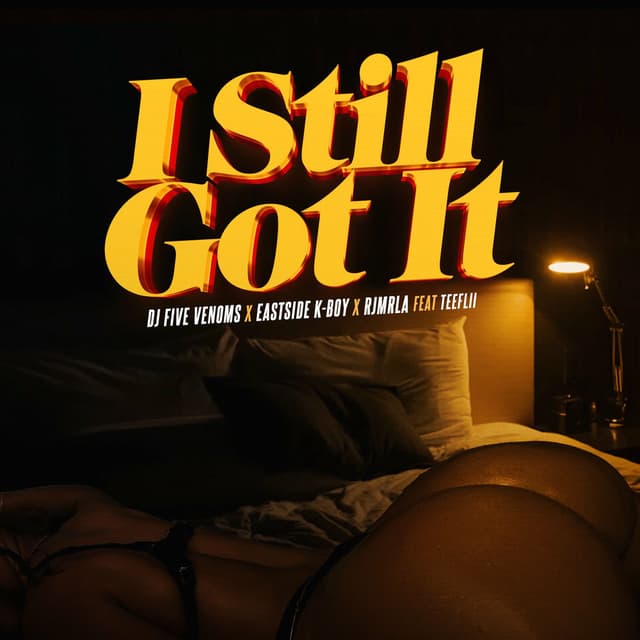I Still Got It (feat. TeeFLii) cover