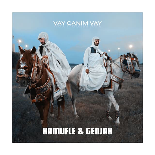 Vay Canım Vay cover