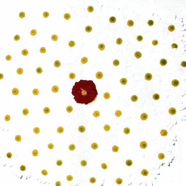 Remembrance Days cover