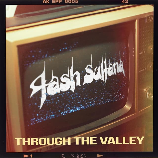 Through the Valley (The Last of Us Part II) cover