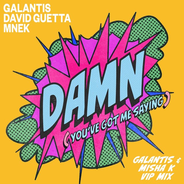 Damn (You’ve Got Me Saying) (Galantis & Misha K VIP Mix) cover