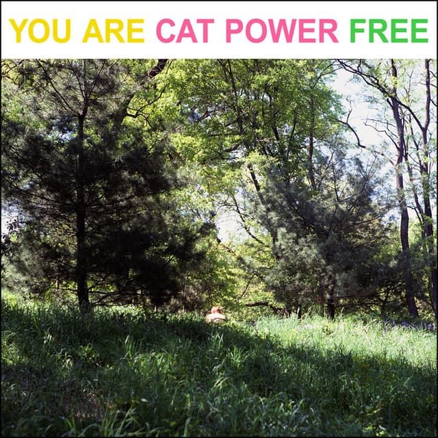 You Are Free cover