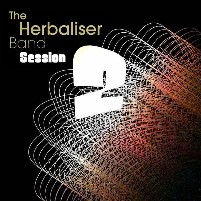 The Herbaliser Band - Session 2 cover
