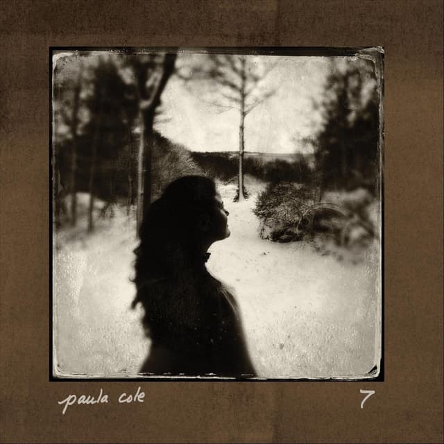 7 album cover
