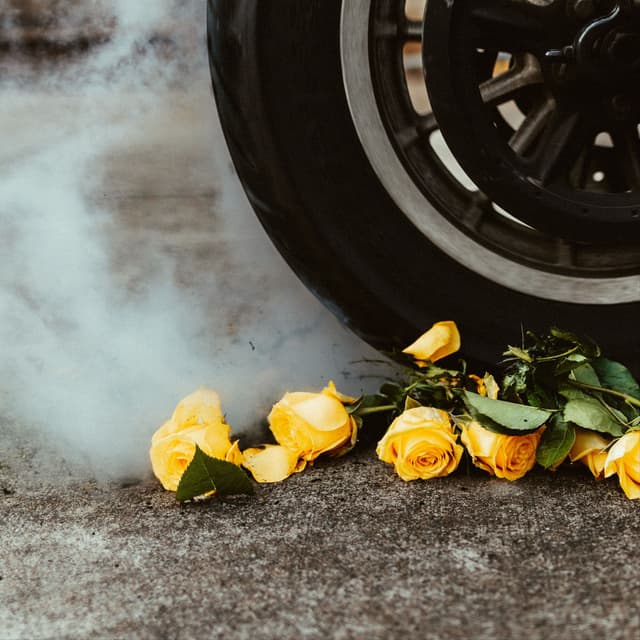 Yellow Roses cover
