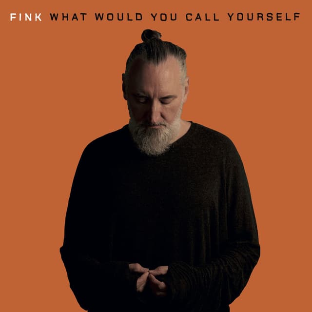 What Would You Call Yourself cover