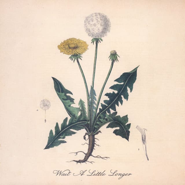 Wait A Little Longer cover
